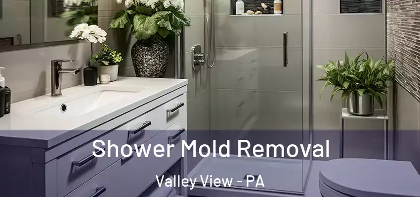 Shower Mold Removal Valley View - PA