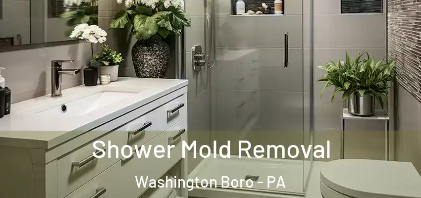Shower Mold Removal Washington Boro - PA