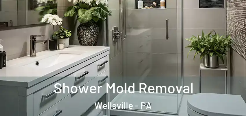 Shower Mold Removal Wellsville - PA