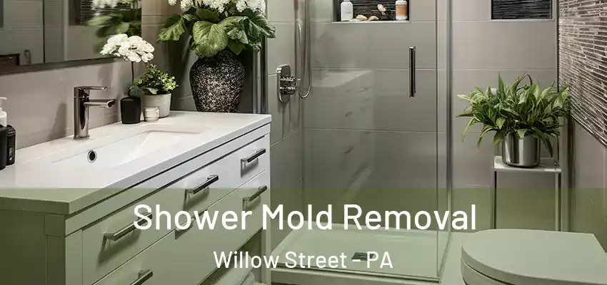 Shower Mold Removal Willow Street - PA