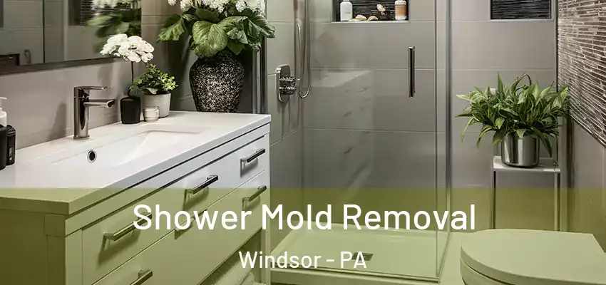 Shower Mold Removal Windsor - PA