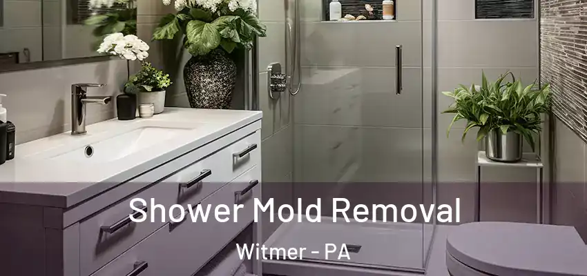 Shower Mold Removal Witmer - PA