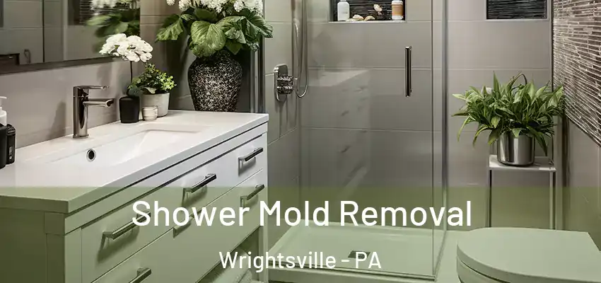 Shower Mold Removal Wrightsville - PA
